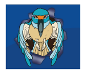 Kingfishers external logo.PNG